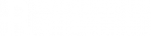 logog_REC_Blanc